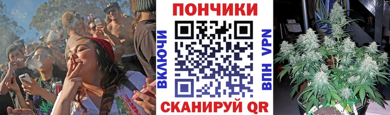 Купить закладку Codein  Alpha-PVP  МЕФ  Конопля  Нея