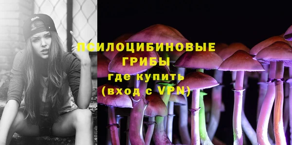мдма Инта