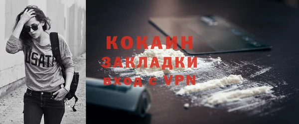 PSILOCYBIN Инсар