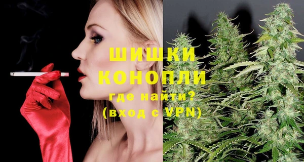 PSILOCYBIN Инсар