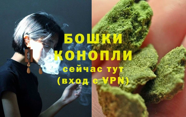 PSILOCYBIN Инсар