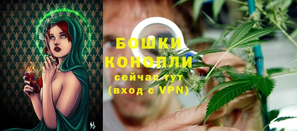мдпв Иннополис