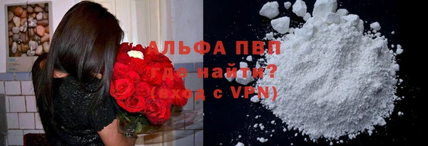PSILOCYBIN Инсар